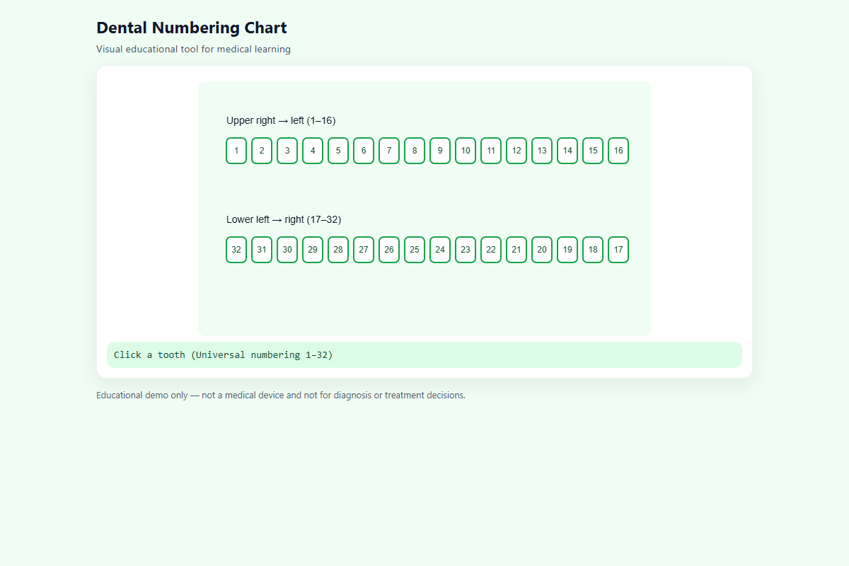 Dental Numbering Chart