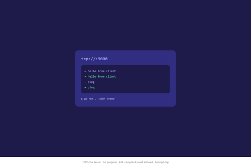 TCP Echo Server – WordPress plugin