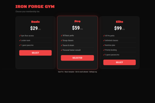 Gym Pro – HTML5 app