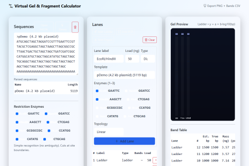 Virtual Gel – WordPress plugin