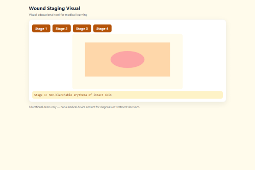 Wound Staging Visual – WordPress plugin